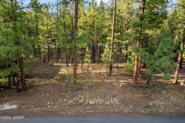 6938PalominoDr-Pinetop-AZ-1