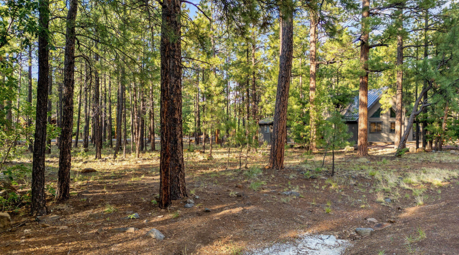 6938PalominoDr-Pinetop-AZ-2