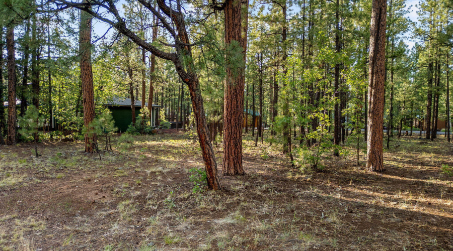 6938PalominoDr-Pinetop-AZ-3