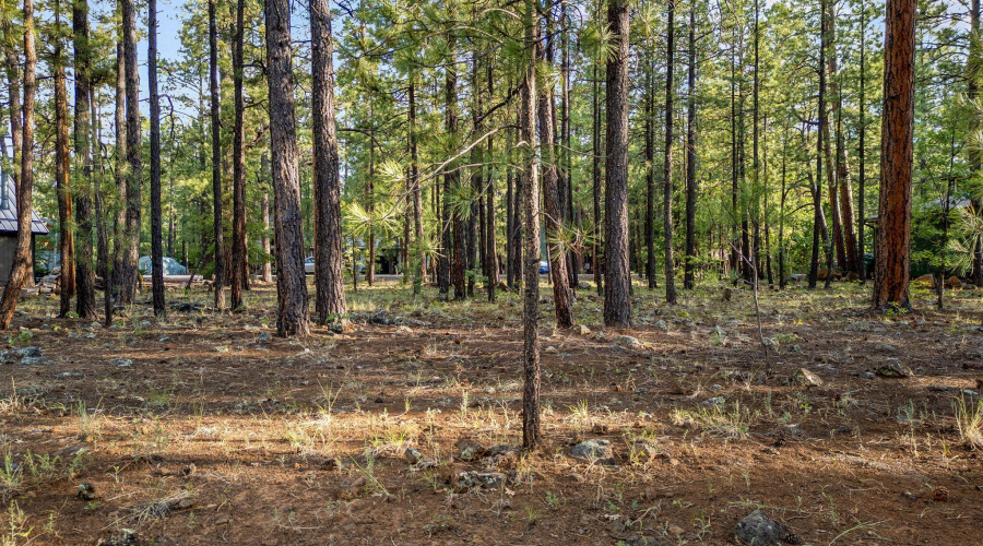 6938PalominoDr-Pinetop-AZ-4