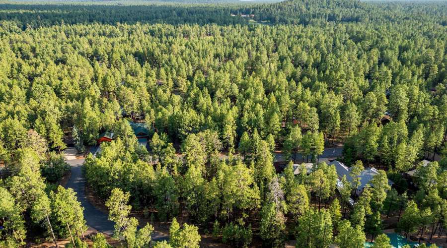 6938PalominoDr-Pinetop-AZ-7