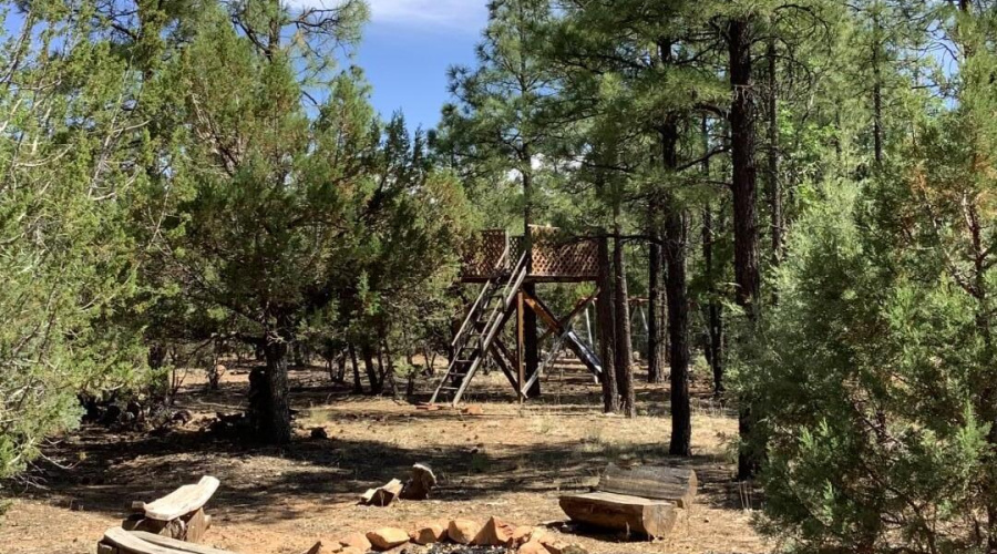 Firepit and Old Tree House