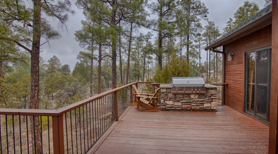 Back Deck/Built in BBQ