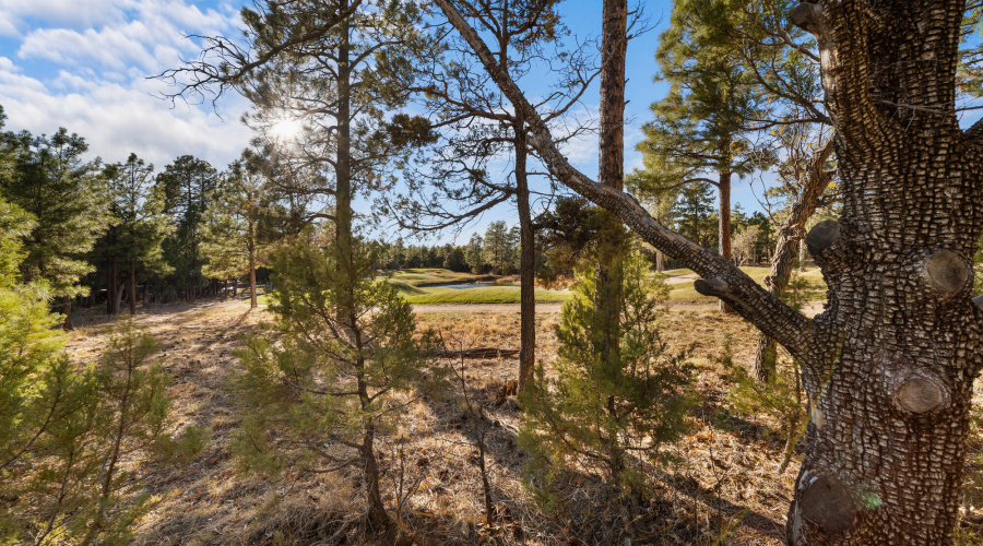 Views of the Golf Course