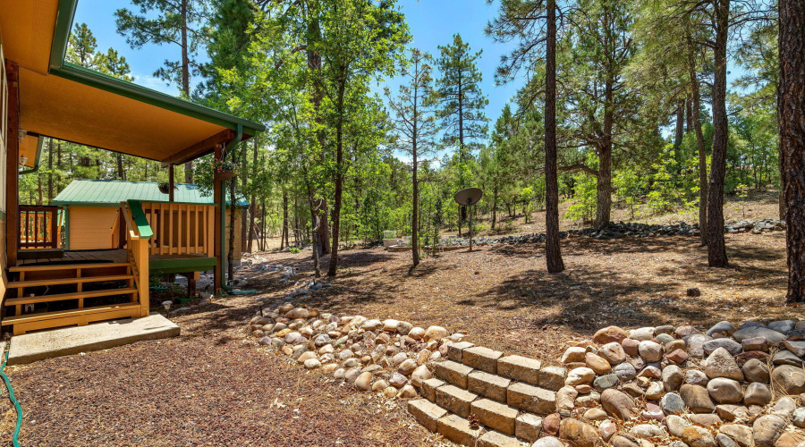 Backyard with Beautiful Trees