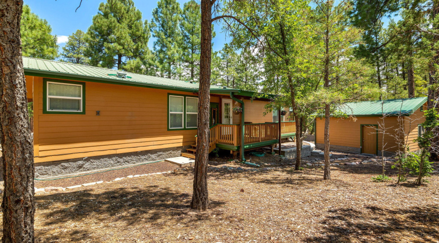 Backyard with Garage Service Door