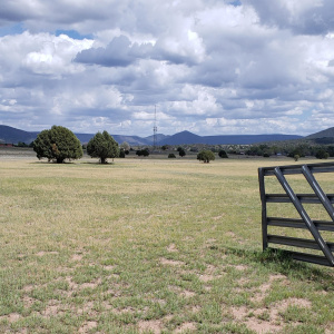 Elk Ridge Gate to 13 Acres