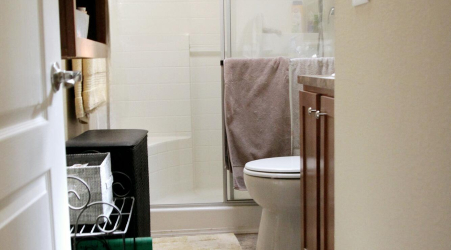 Bathroom with skylight