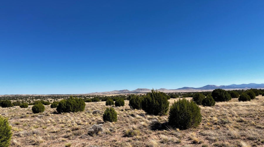 Looking Northeast Across the Property