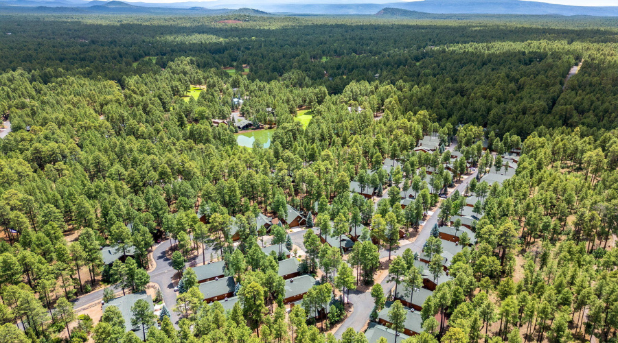 2864TimberlineRd-Pinetop-AZ-32