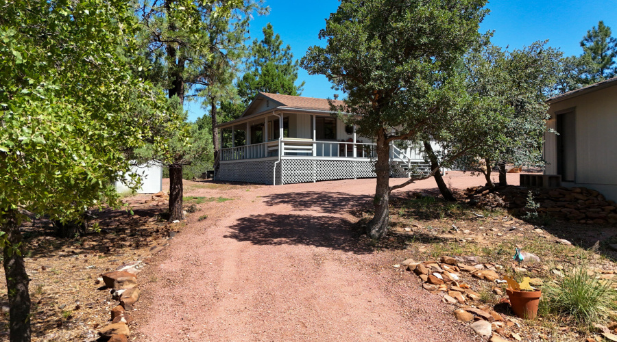 House looking from Forest Trl