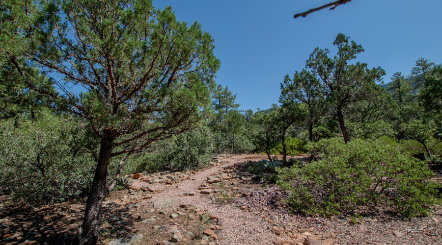 Trail through back of acre lot