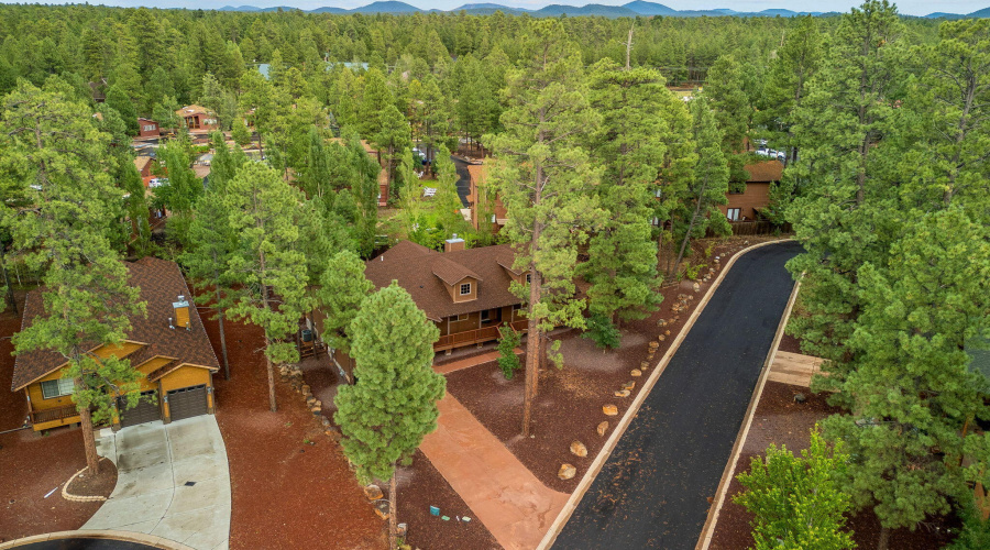 5796HiddenOakDr-Pinetop-AZ-48