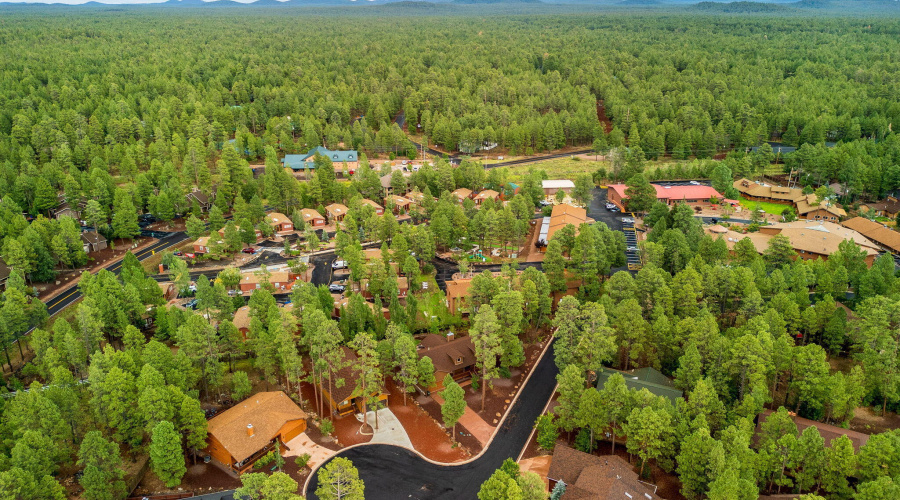 5796HiddenOakDr-Pinetop-AZ-50