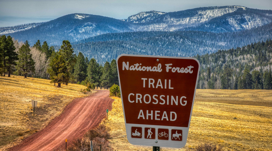 photo-mt baldy-white mo-apr22