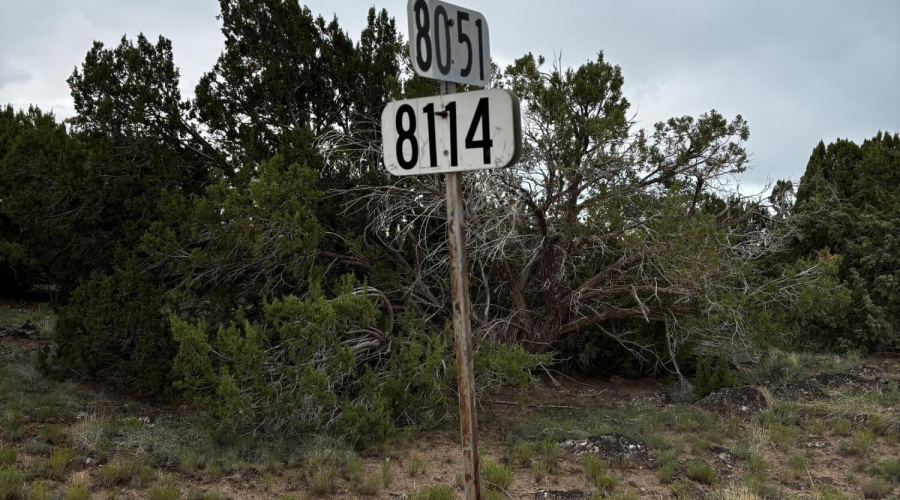 Photo Street Signs