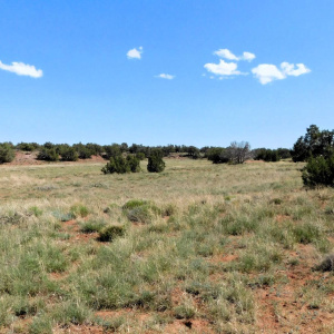 Lot 38 County Rd 8439, Concho Valley, AZ