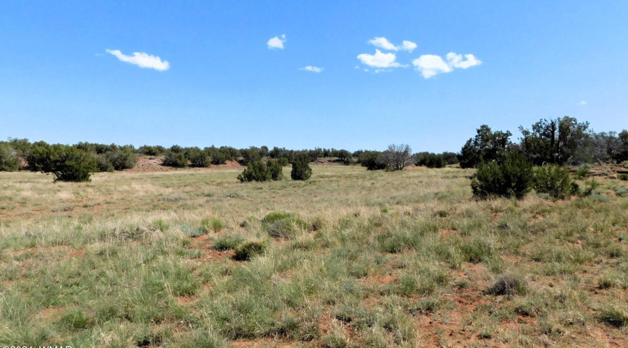 Lot 38 County Rd 8439, Concho Valley, AZ