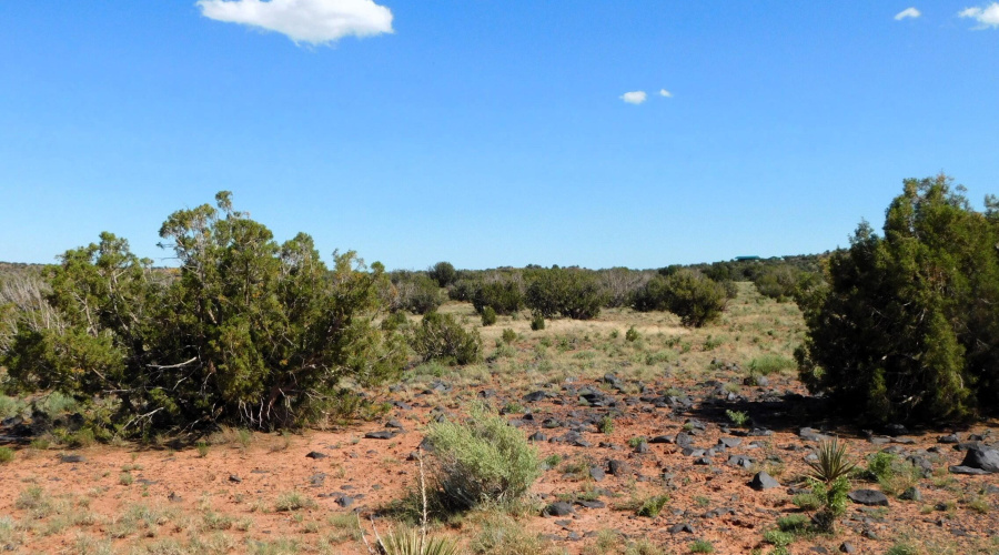 Lot 38 County Rd 8439, Concho Valley, AZ