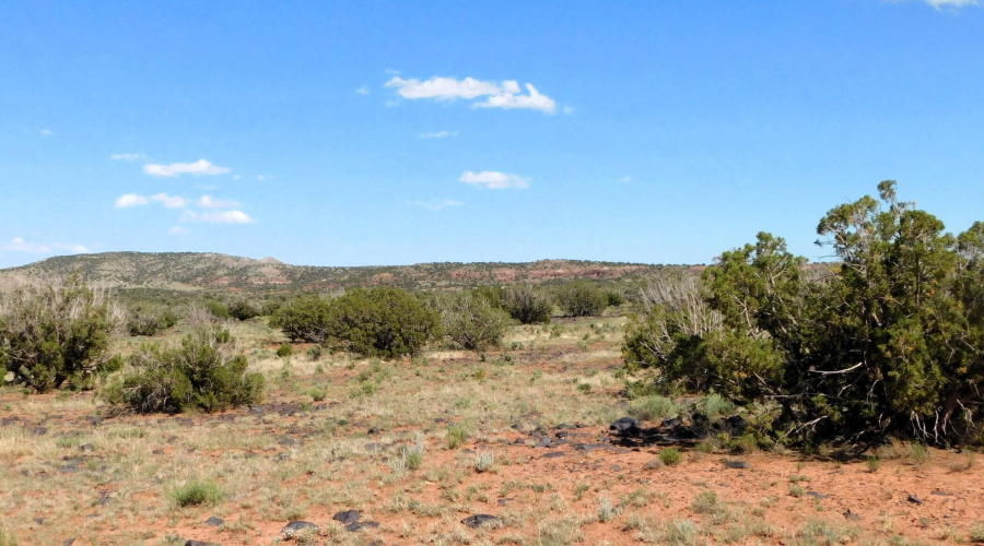 Lot 38 County Rd 8439, Concho Valley, AZ