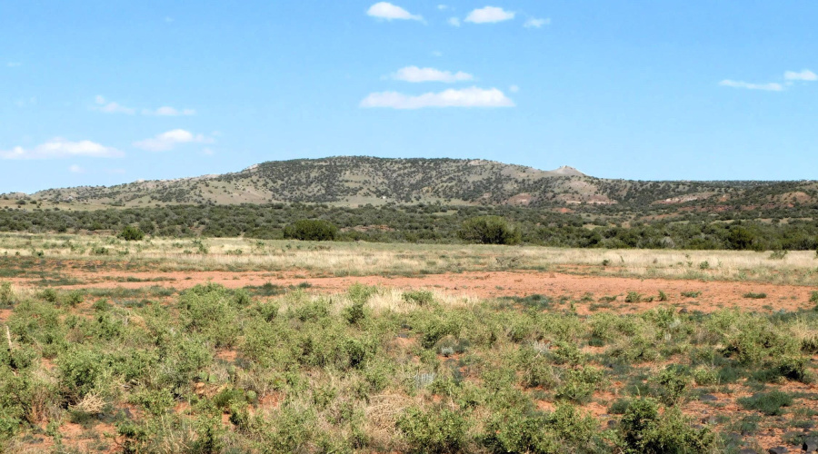 Lot 38 County Rd 8439, Concho Valley, AZ