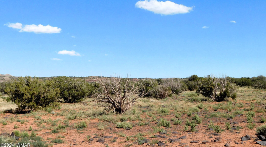 Lot 38 County Rd 8439, Concho Valley, AZ