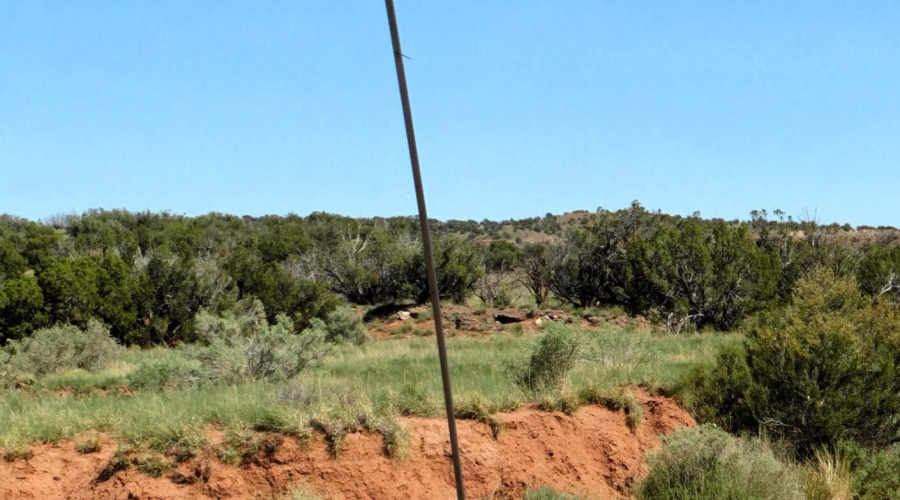 Lot 38 County Rd 8439, Concho Valley, AZ