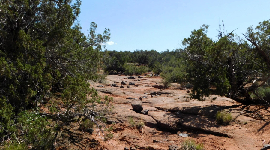 TBD County Road 8439 Concho Valley, AZ