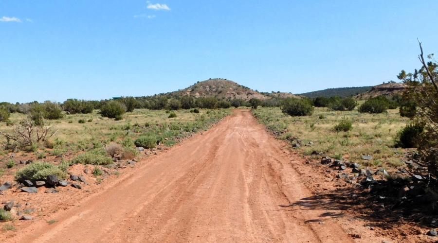 TBD County Road 8439 Concho Valley, AZ