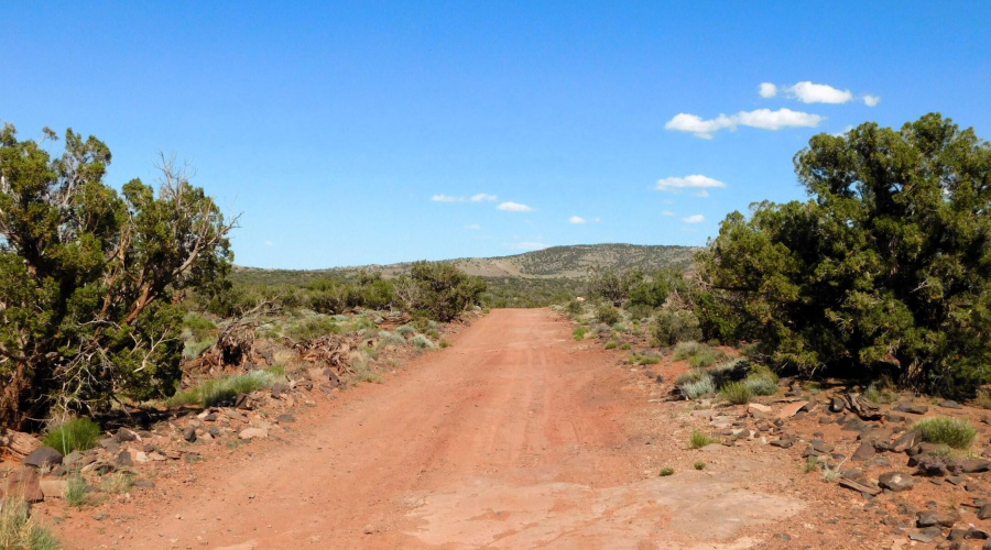 TBD County Road 8439 Concho Valley, AZ