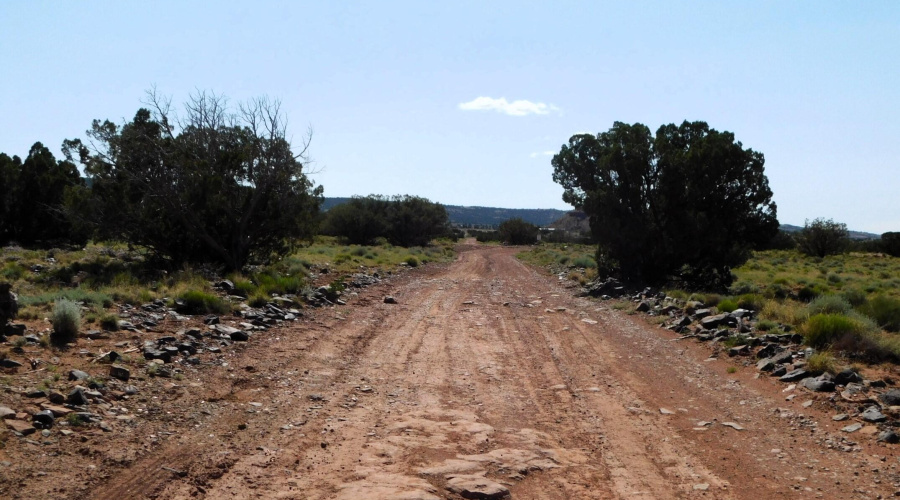 TBD County Road 8439 Concho Valley, AZ