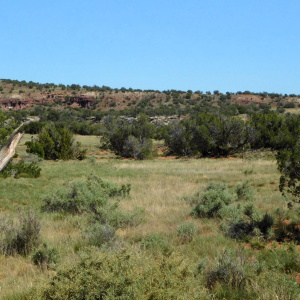 TBD County Road 8439 Concho Valley, AZ