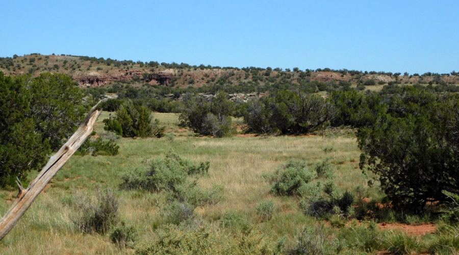 TBD County Road 8439 Concho Valley, AZ