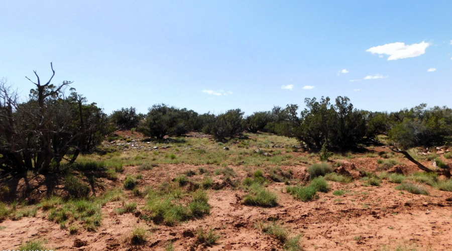 TBD County Road 8439 Concho Valley, AZ