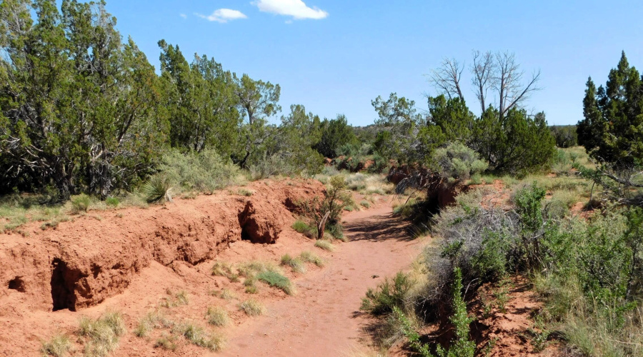 TBD County Road 8439 Concho Valley, AZ