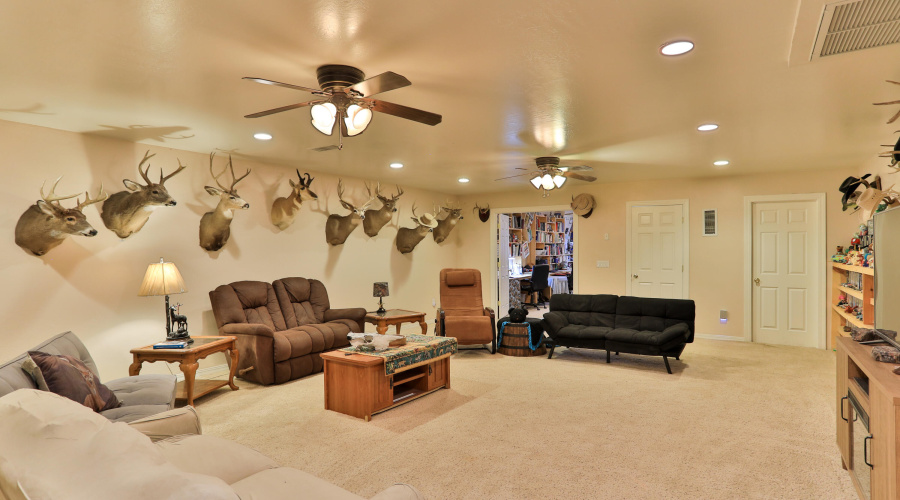 Downstairs Living Room