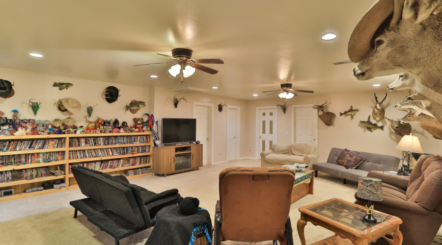 Downstairs Living Room