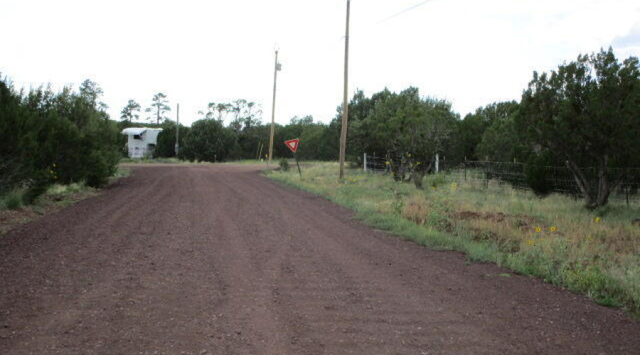 Road View