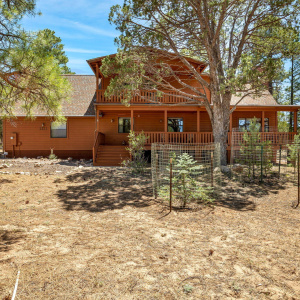 2221MountainLionLn-Overgaard-AZ-2