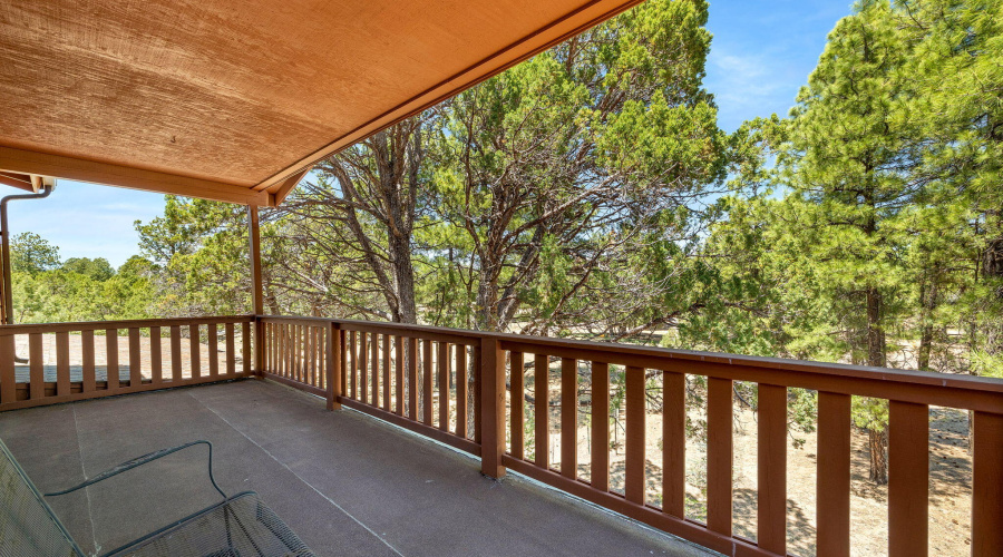 2221MountainLionLn-Overgaard-AZ-23