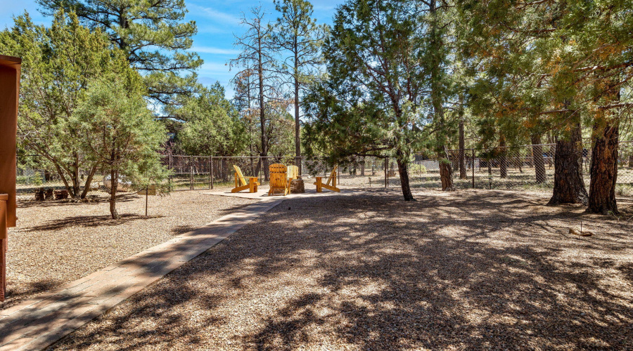 2221MountainLionLn-Overgaard-AZ-32