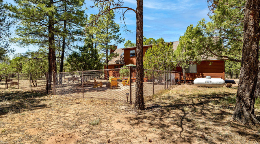 2221MountainLionLn-Overgaard-AZ-33