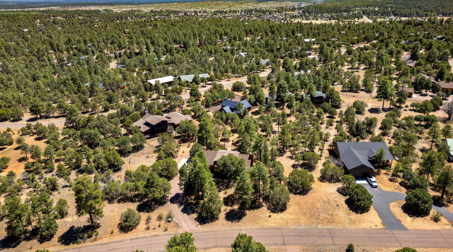 2221MountainLionLn-Overgaard-AZ-37