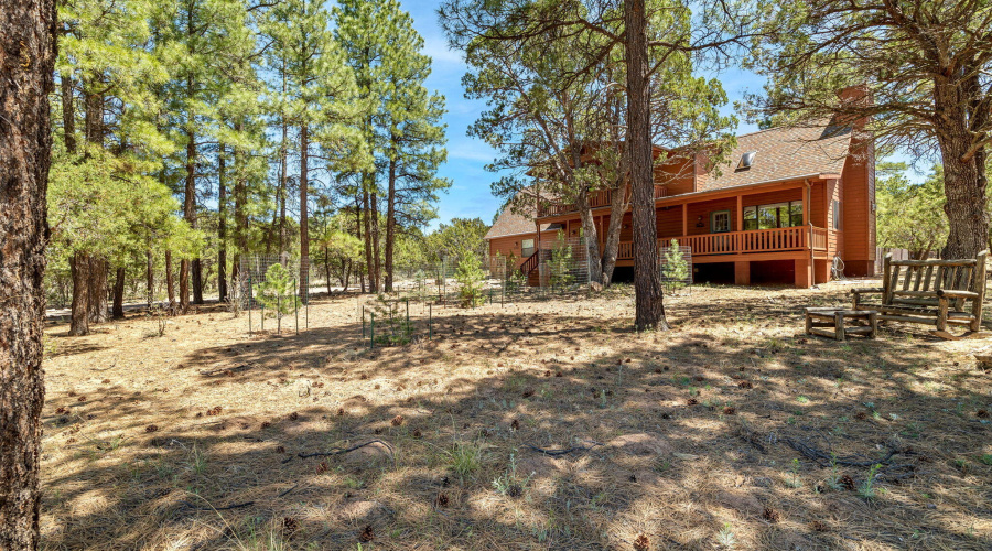 2221MountainLionLn-Overgaard-AZ-3