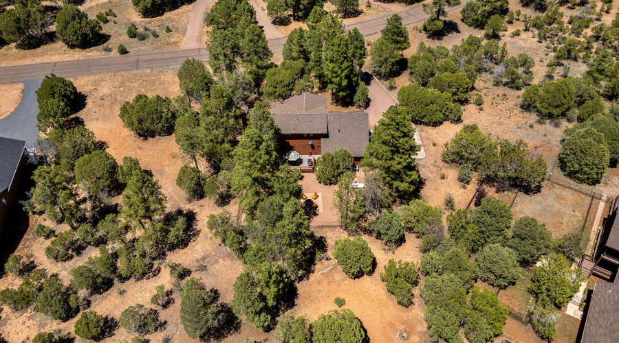 2221MountainLionLn-Overgaard-AZ-40