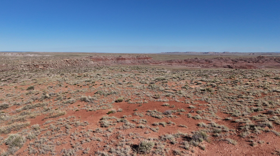 AZ Land Farm - Navajo Co - APN 105-50-00