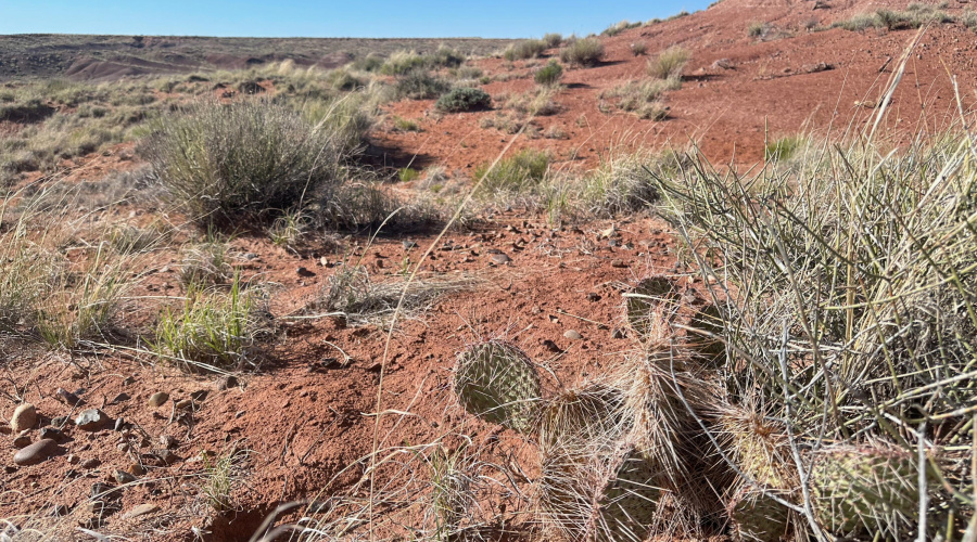 AZ Land Farm - Navajo Co - APN 105-50-00