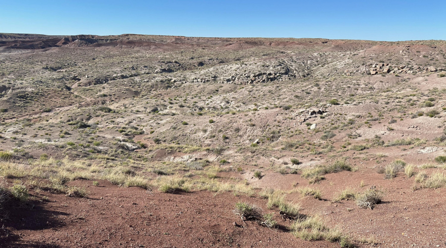 AZ Land Farm - Navajo Co - APN 105-50-00