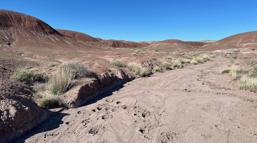 AZ Land Farm - Navajo Co - APN 105-50-00