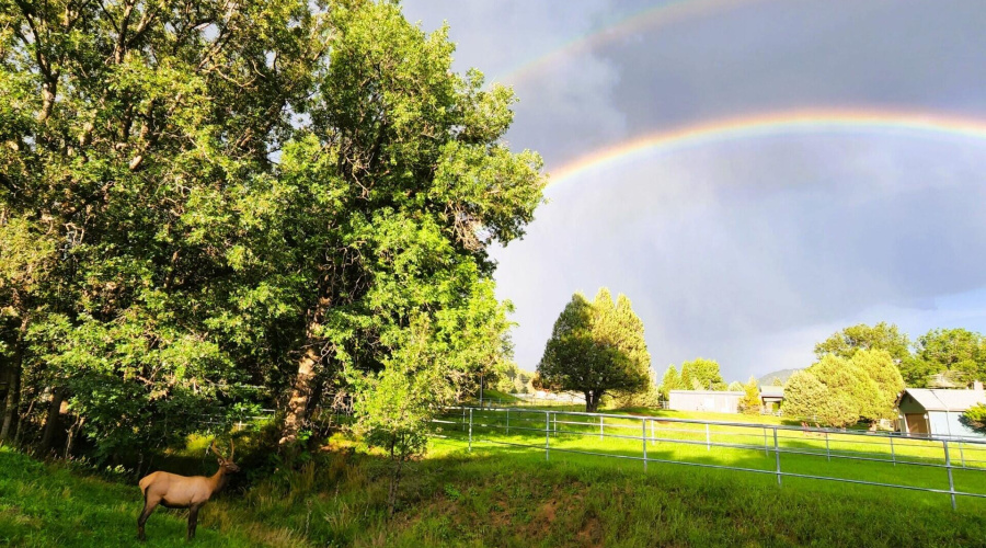 thumbnail_rainbow at the cottage enhance